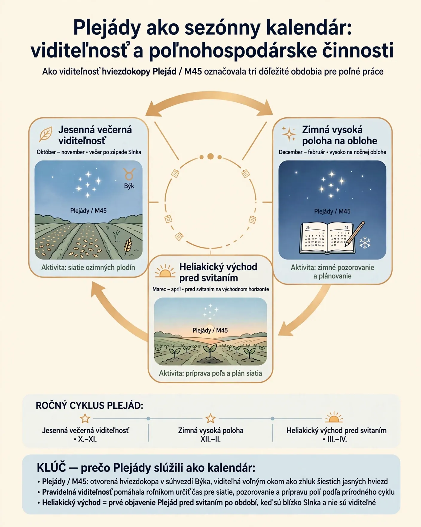 seasonal calendar infographic connecting Pleiades visibility with agricultural activities