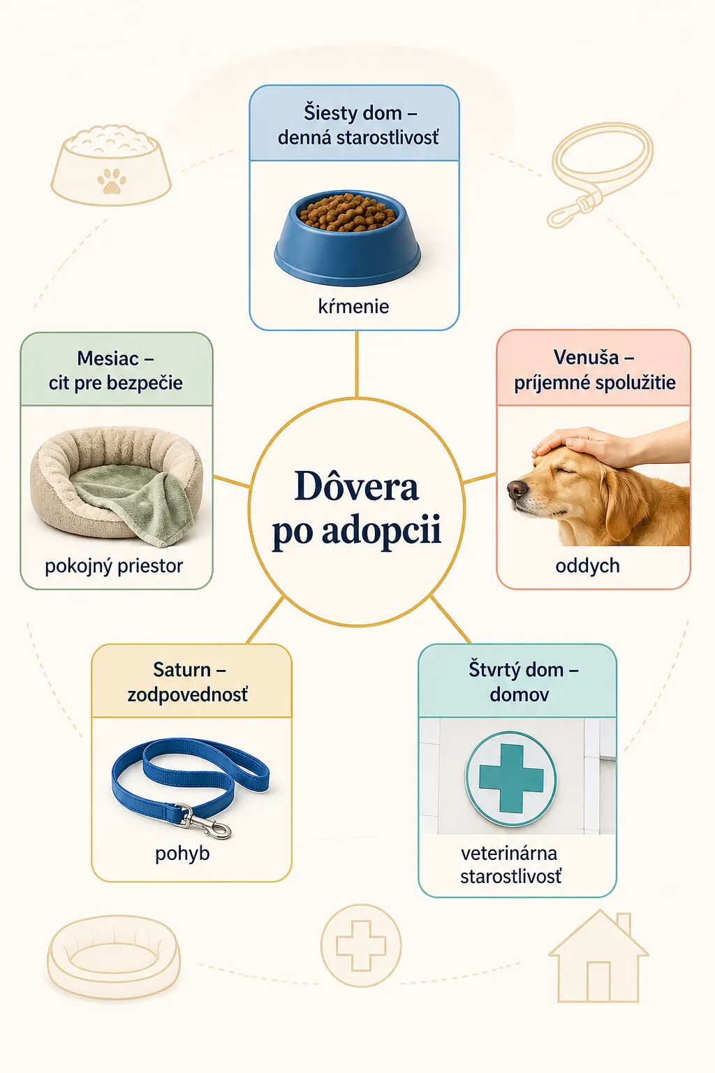 editorial infographic connecting daily care trust and home routines