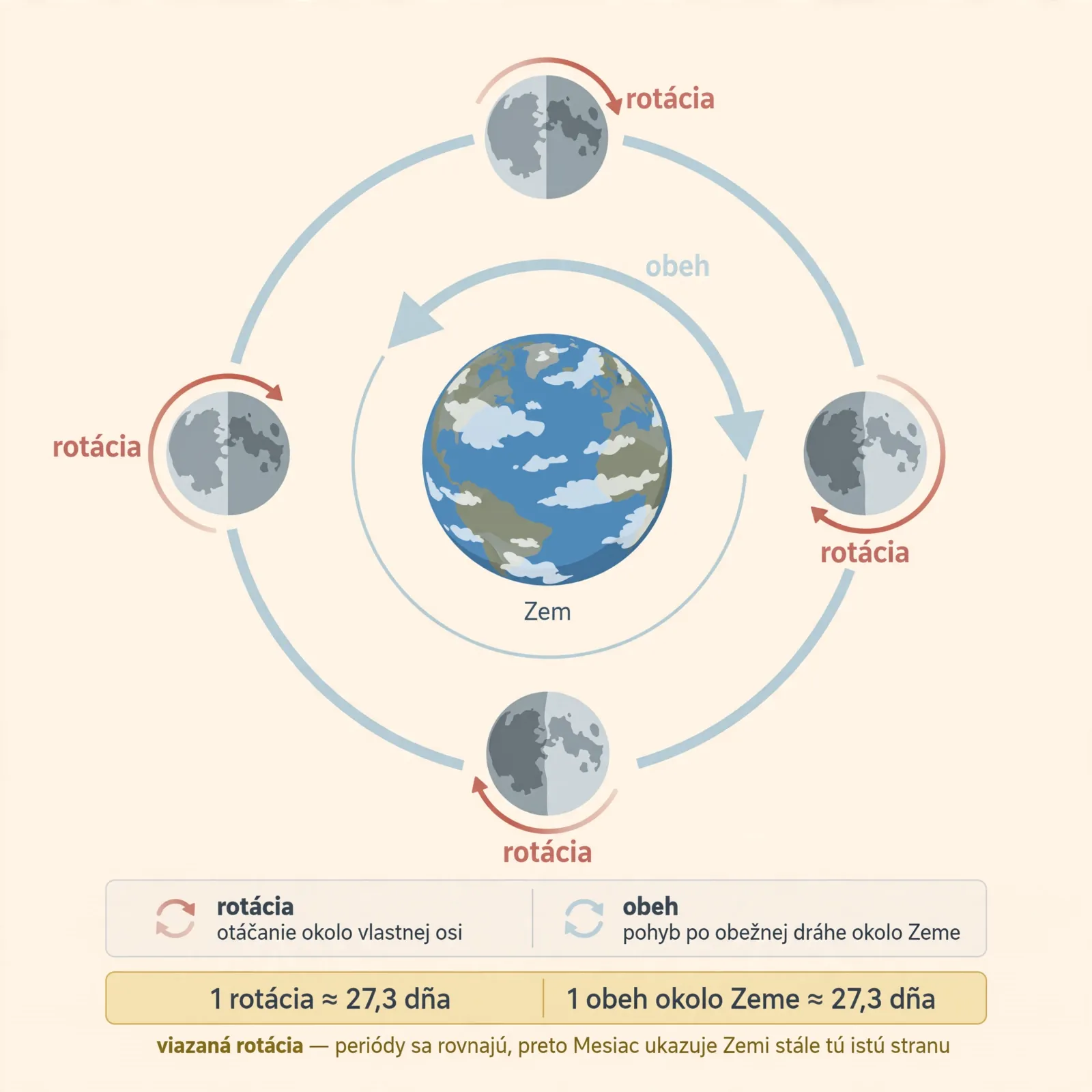 infographic comparing Moon rotation and orbit