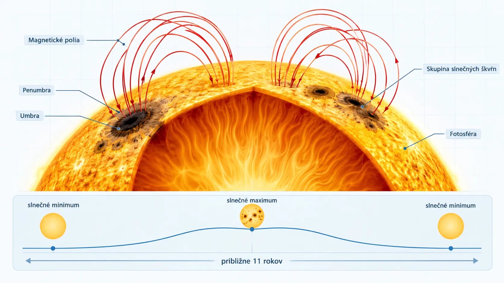 solar magnetic cycle and sunspot groups