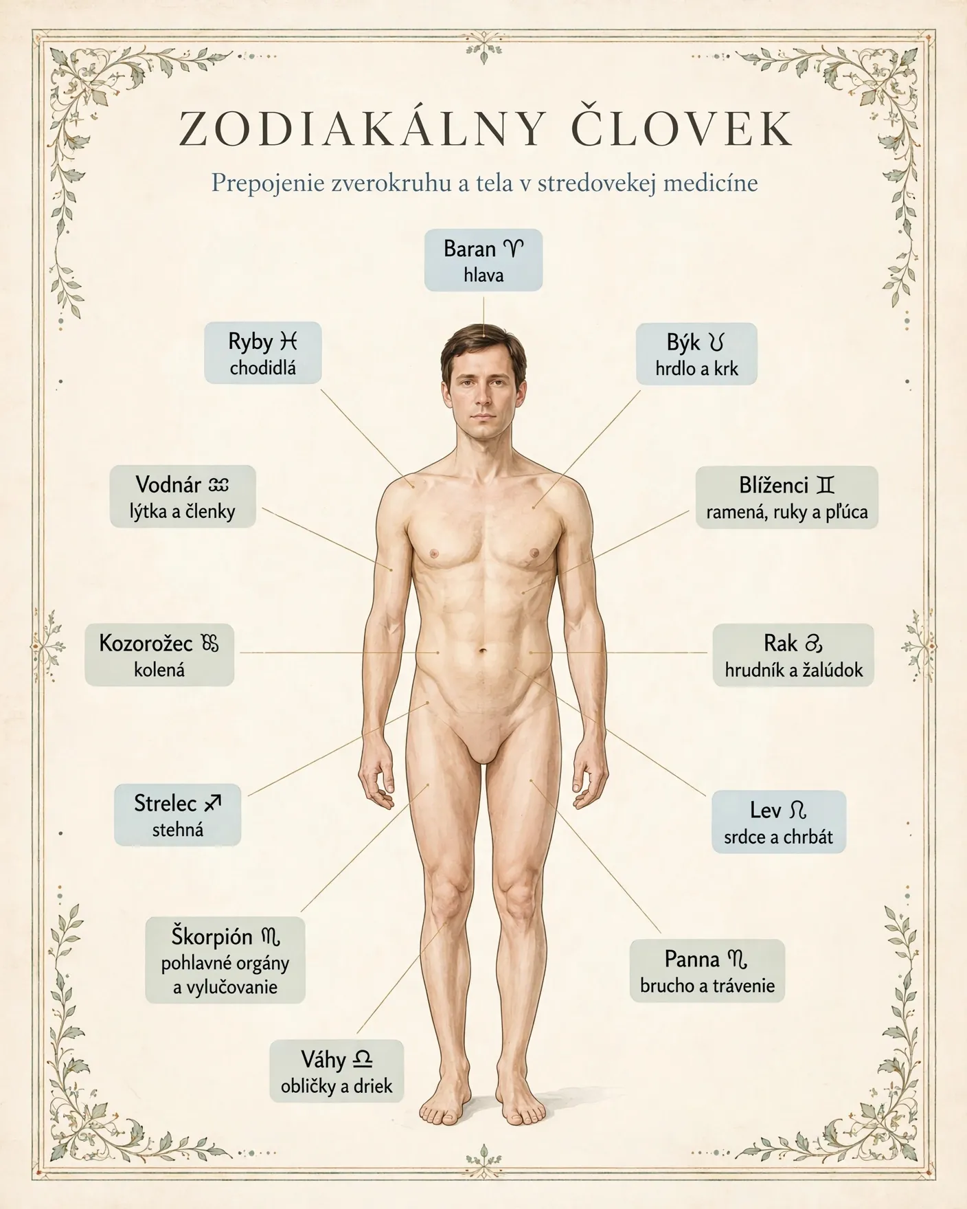 zodiac man medieval medical body map